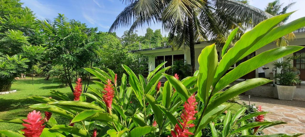 New Holiday Reach Unawatuna Exterior photo